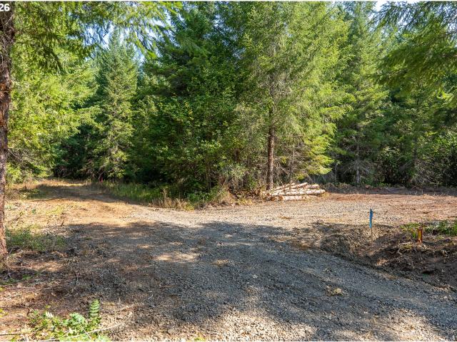 Land for sale in Carson, Skamania County
