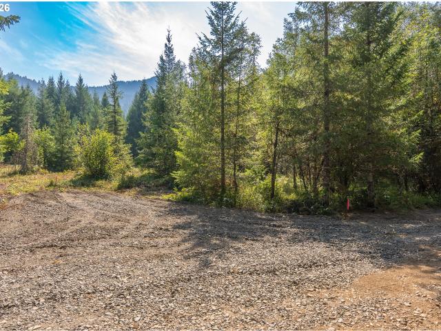 Land for sale in Carson, Skamania County