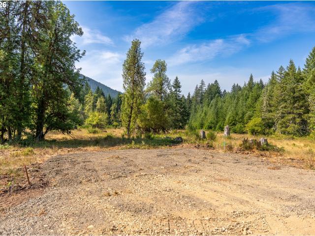 Land for sale in Carson, Skamania County