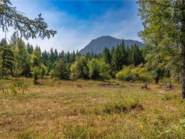 Land for sale in Carson, Skamania County