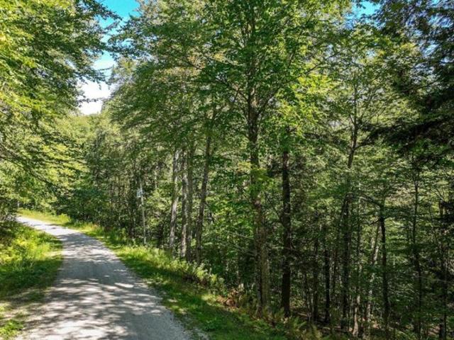 Land for sale in Plymouth, Vermont