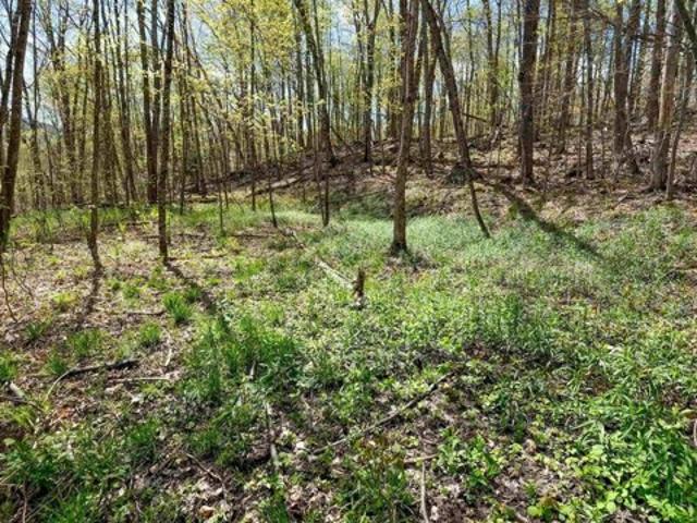 Land for sale in East Wallingford, Vermont