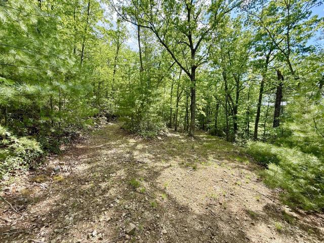 Land for sale in Franklin, West Virginia