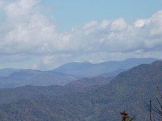 House for sale in North Carolina