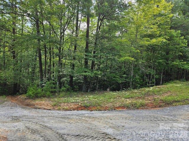 Land for sale in Lake Lure, Rutherford County