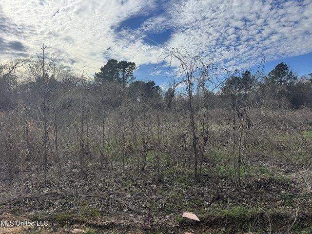 Land for sale in Magee, Mississippi