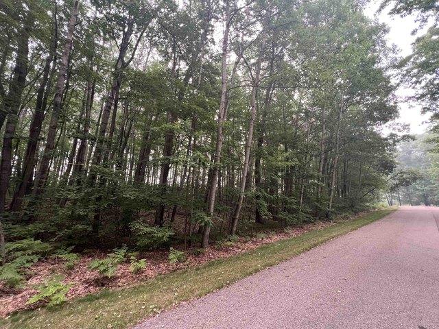 Land for sale in Clare, Michigan