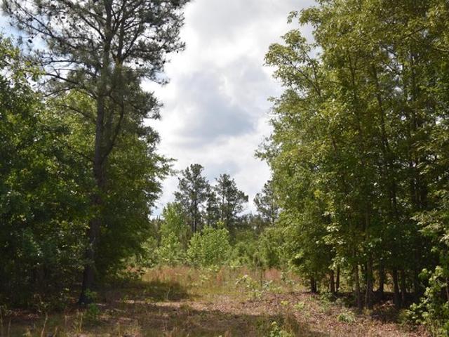Land for sale in Kingstree, South Carolina