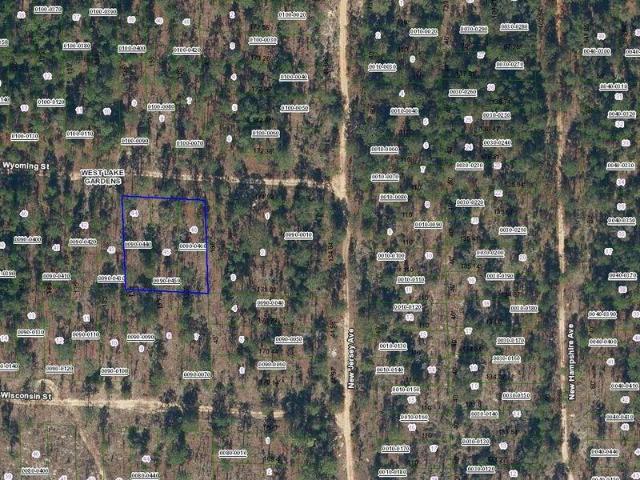 Land for sale in Hawthorne, Florida