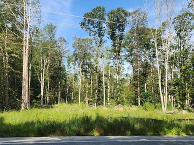 Land for sale in Bel Alton, Maryland