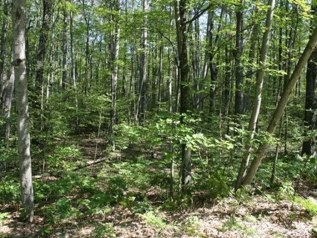 Land for sale in Harrison, Clare County