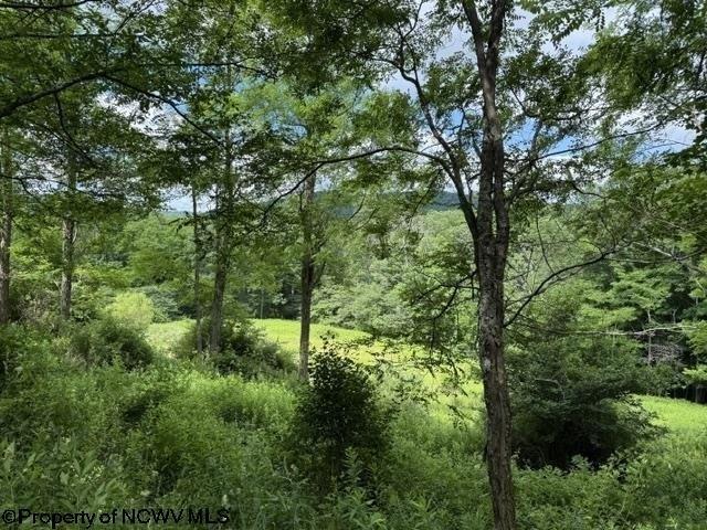 Land for sale in West Virginia
