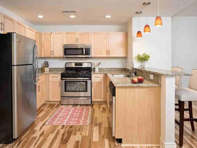 Apartment for rent in Shockoe Bottom, Richmond