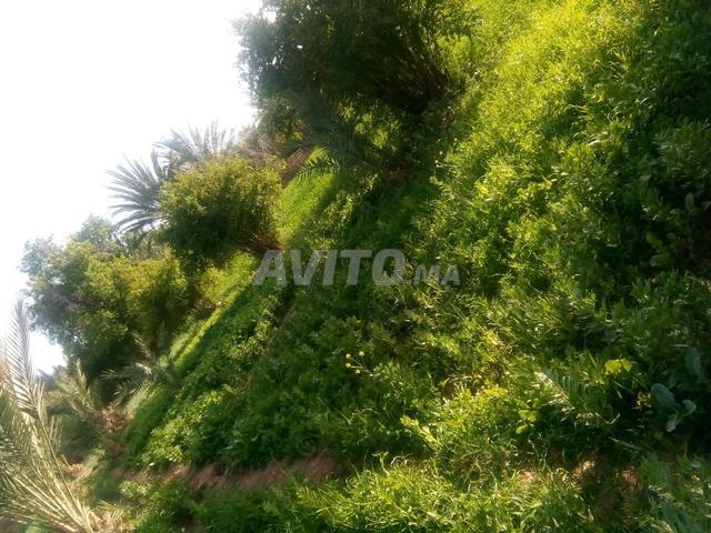 Propriété vente à Ouarzazate