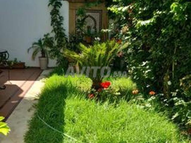 Propriété location à Hay Riad, Berkane