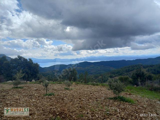 Muğla içerisinde satılık Arsa