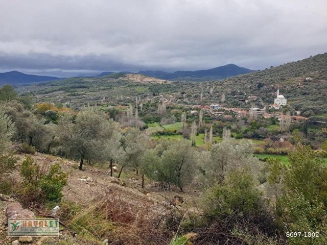 Milas, Muğla içerisinde satılık mülk