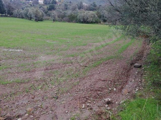 Milas, Muğla içerisinde satılık Arsa