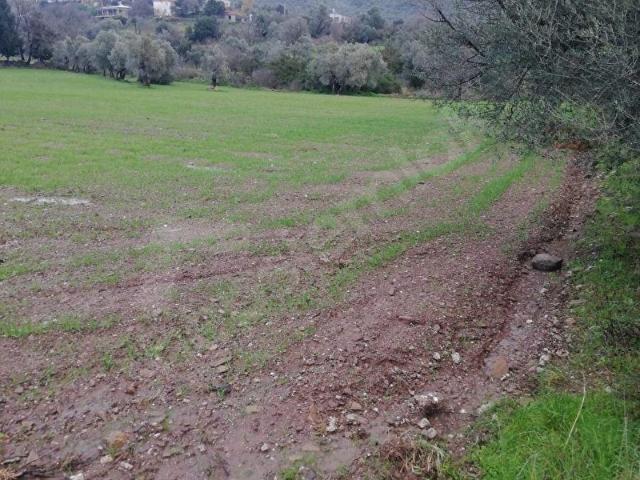 Milas, Muğla içerisinde satılık Arsa