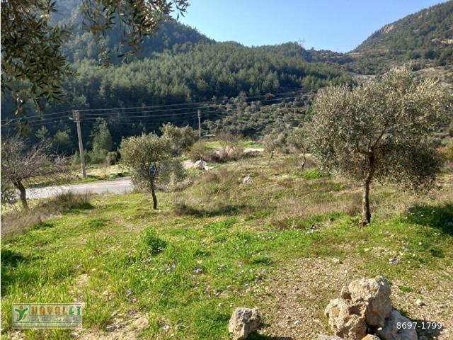 Muğla içerisinde satılık Arsa