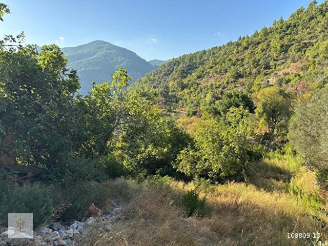 Bademağacı, Alanya içerisinde satılık mülk