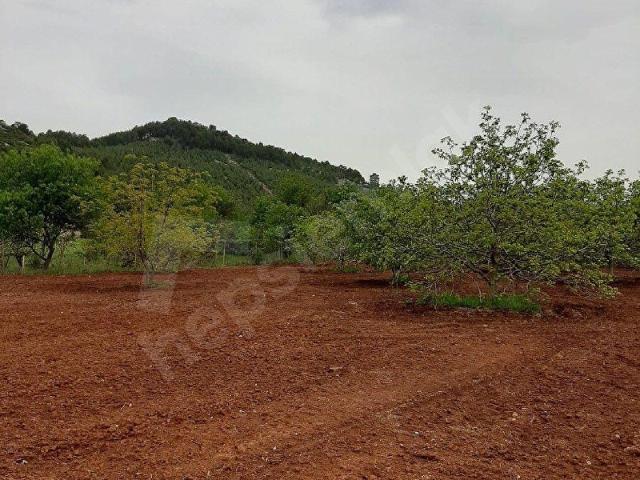 Bucak, Burdur içerisinde satılık Arsa