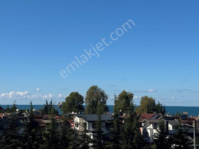 Sancak, Yomra içerisinde satılık mülk
