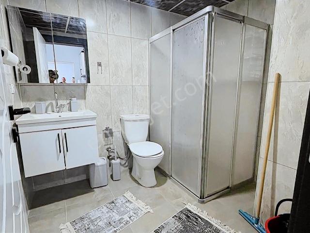 Siirt Merkez, Siirt içerisinde kiralık mülk