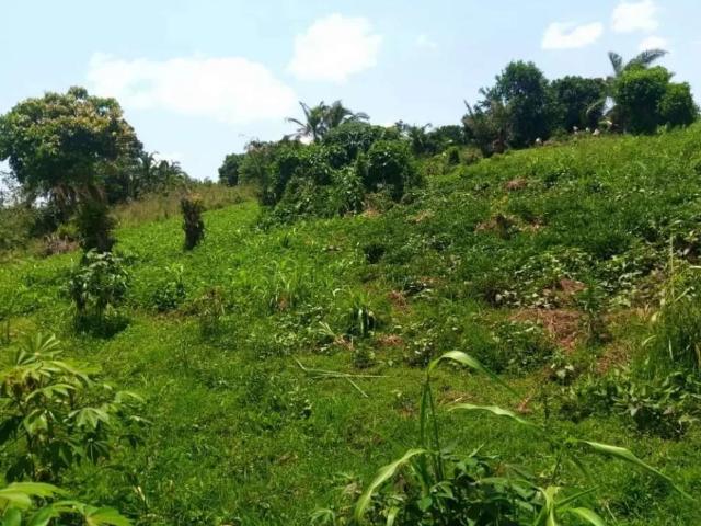 House for sale in Peshawar, North West Frontier Province