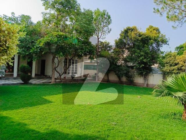House for rent in Peshawar