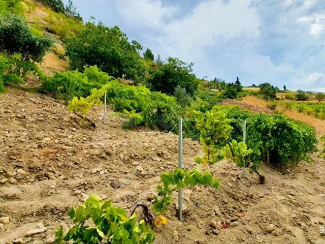 Kahramanmaraş içerisinde satılık mülk