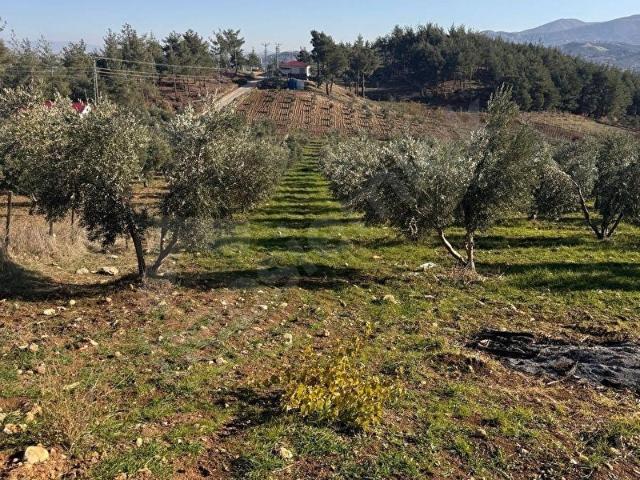 Kahramanmaraş içerisinde satılık Arsa