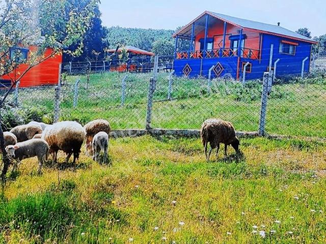 Gemlik, Bursa içerisinde satılık Fabrika