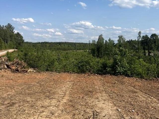 Land for sale in Boydton, Mecklenburg County