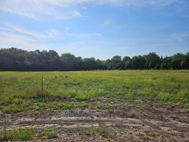 Land for sale in Lamar, Texas