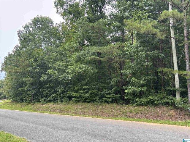 Land for sale in Dora, Alabama