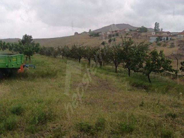 Haymana, Ankara içerisinde satılık Arsa