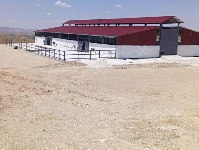 Haymana, Ankara içerisinde satılık Fabrika