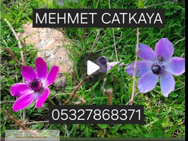 Haymana, Ankara içerisinde satılık mülk