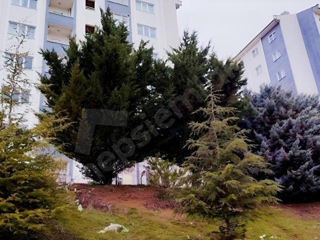 Haymana, Ankara içerisinde satılık mülk