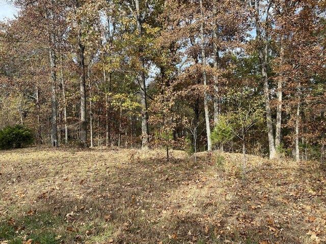 Land for sale in Murray, Calloway County