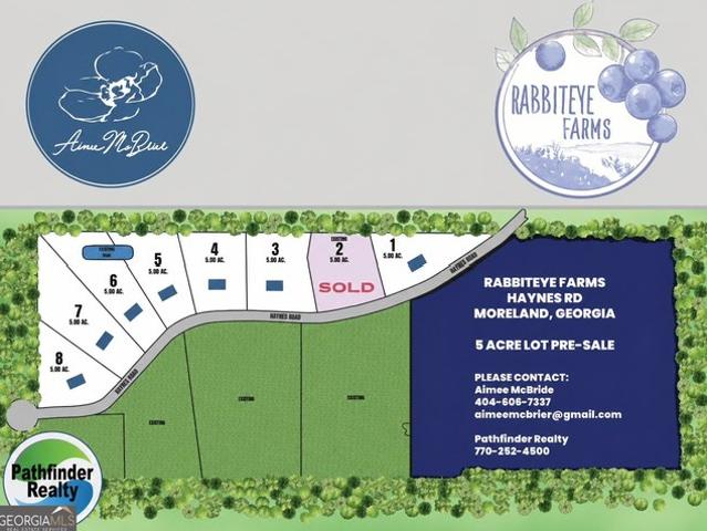 Land for sale in Moreland, Georgia