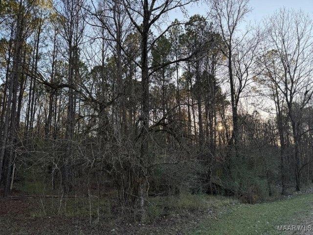 Land for sale in Alabama