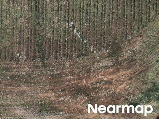 Property for sale in Elkmont, Alabama