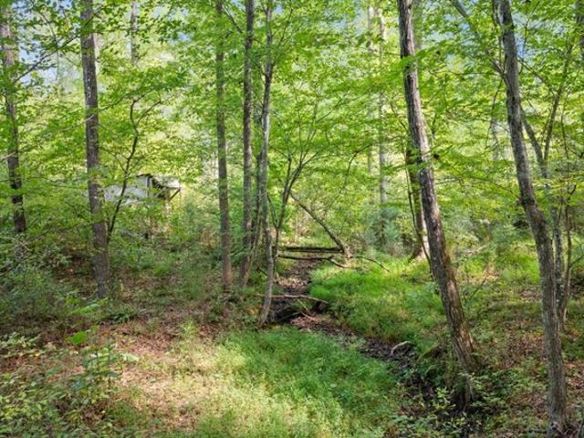 Land for sale in Amherst, Amherst County