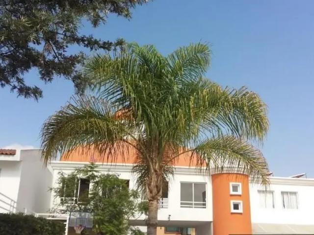 Casa en venta en Jiquilpan, Michoacán