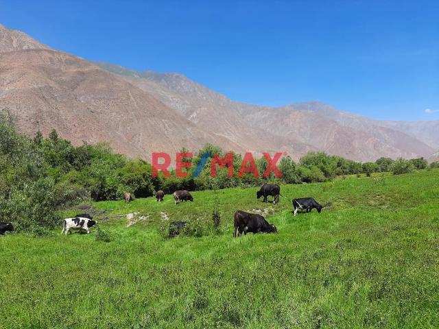 Terreno venta en Ayacucho