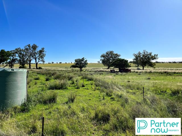 Cottage for sale in Piallamore, New South Wales