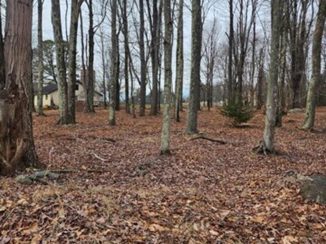 Land for sale in Greentown