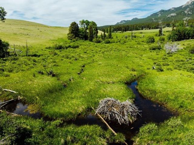 Farm for sale in Wyoming